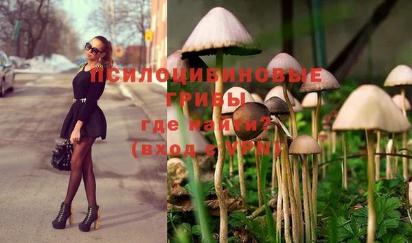 ПСИЛОЦИБИНОВЫЕ ГРИБЫ Балахна