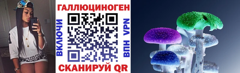 Галлюциногенные грибы MAGIC MUSHROOMS  сколько стоит  Кузнецк 